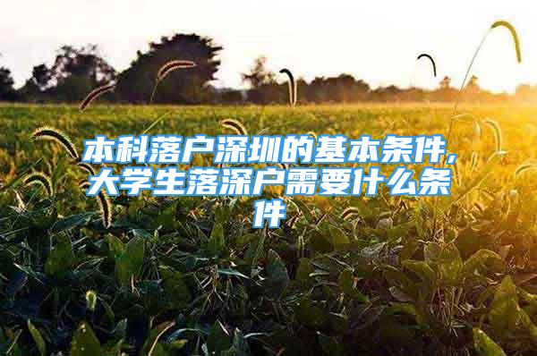 本科落戶深圳的基本條件,大學生落深戶需要什么條件