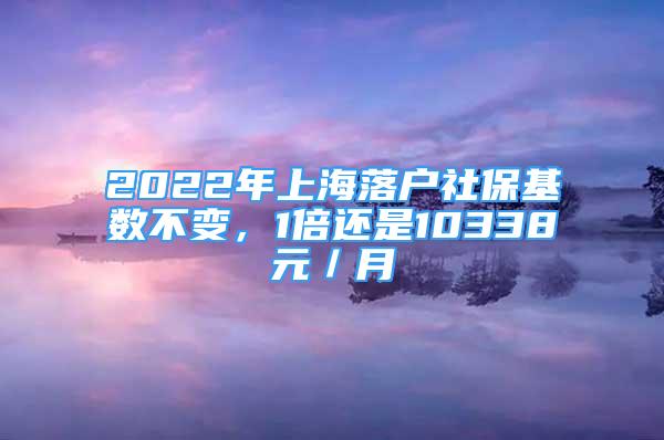 2022年上海落戶社?；鶖?shù)不變，1倍還是10338元／月