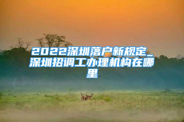 2022深圳落戶新規(guī)定_深圳招調(diào)工辦理機構在哪里