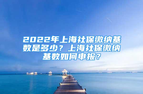 2022年上海社保繳納基數(shù)是多少？上海社保繳納基數(shù)如何申報？