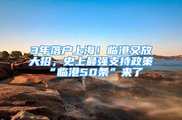 3年落戶上海！臨港又放大招，史上最強支持政策“臨港50條”來了