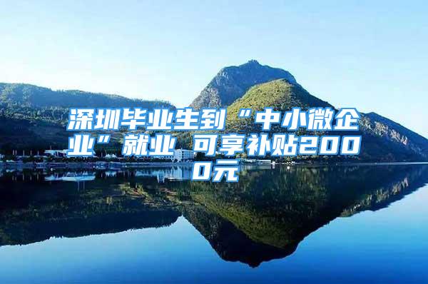 深圳畢業(yè)生到“中小微企業(yè)”就業(yè) 可享補貼2000元