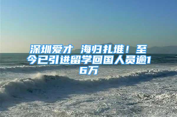 深圳愛才 海歸扎堆！至今已引進留學回國人員逾16萬