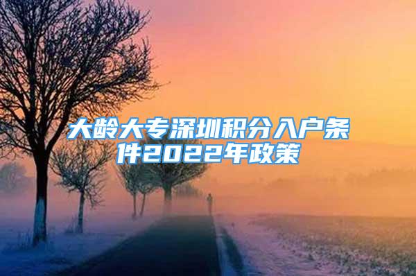 大齡大專深圳積分入戶條件2022年政策