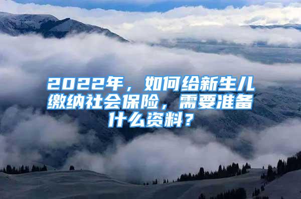 2022年，如何給新生兒繳納社會保險，需要準備什么資料？