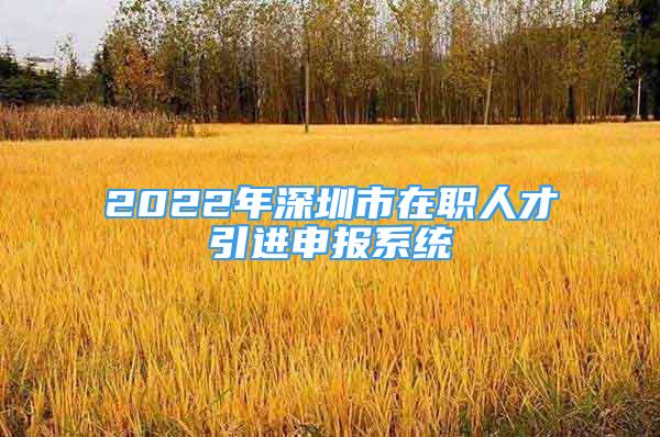 2022年深圳市在職人才引進申報系統(tǒng)