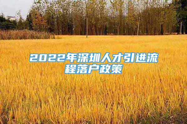 2022年深圳人才引進(jìn)流程落戶政策