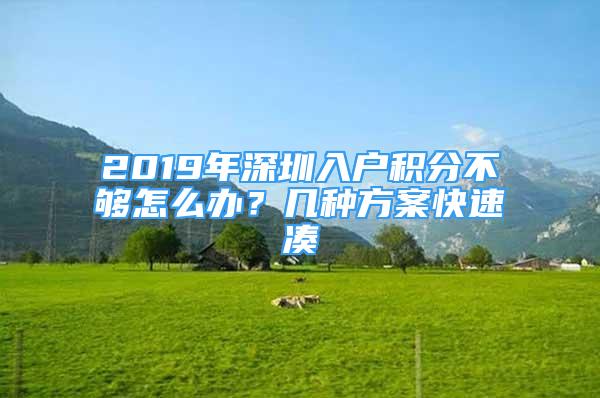 2019年深圳入戶積分不夠怎么辦？幾種方案快速湊