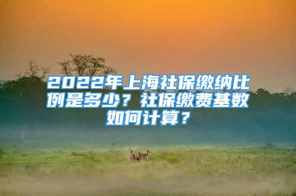 2022年上海社保繳納比例是多少？社保繳費基數(shù)如何計算？