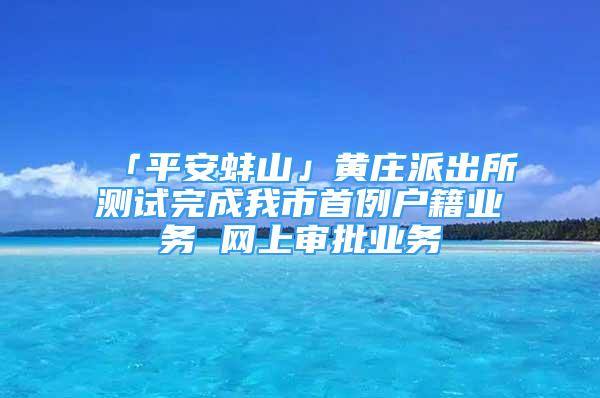 「平安蚌山」黃莊派出所測(cè)試完成我市首例戶籍業(yè)務(wù) 網(wǎng)上審批業(yè)務(wù)