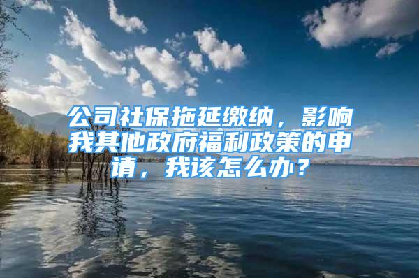 公司社保拖延繳納，影響我其他政府福利政策的申請(qǐng)，我該怎么辦？