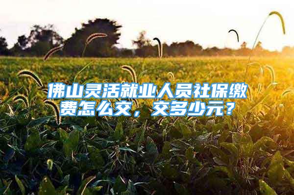 佛山靈活就業(yè)人員社保繳費(fèi)怎么交，交多少元？