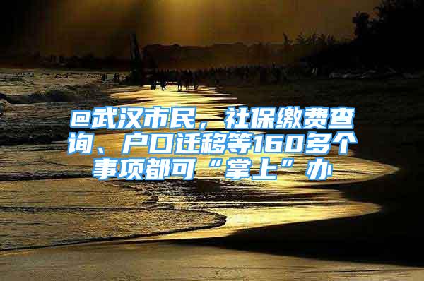 @武漢市民，社保繳費(fèi)查詢(xún)、戶口遷移等160多個(gè)事項(xiàng)都可“掌上”辦