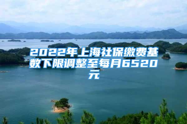 2022年上海社保繳費(fèi)基數(shù)下限調(diào)整至每月6520元