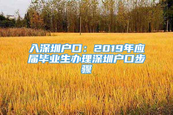 入深圳戶口：2019年應屆畢業(yè)生辦理深圳戶口步驟