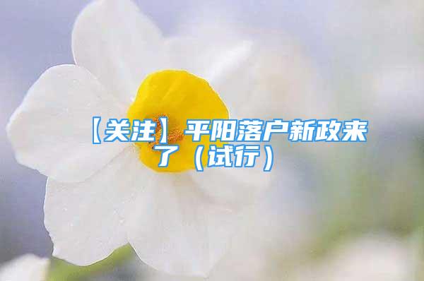 【關注】平陽落戶新政來了（試行）