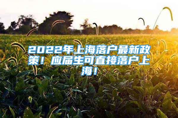 2022年上海落戶最新政策！應(yīng)屆生可直接落戶上海！