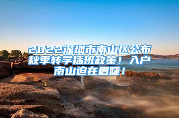 2022深圳市南山區(qū)公布秋季轉(zhuǎn)學(xué)插班政策！入戶南山迫在眉睫！