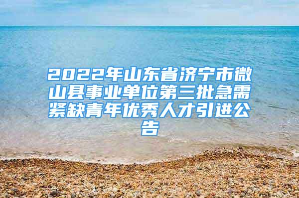 2022年山東省濟寧市微山縣事業(yè)單位第三批急需緊缺青年優(yōu)秀人才引進公告