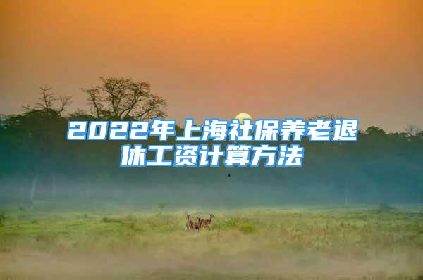 2022年上海社保養(yǎng)老退休工資計(jì)算方法