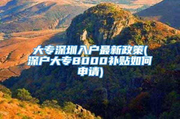 大專深圳入戶最新政策(深戶大專8000補貼如何申請)