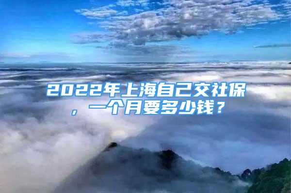 2022年上海自己交社保，一個(gè)月要多少錢？