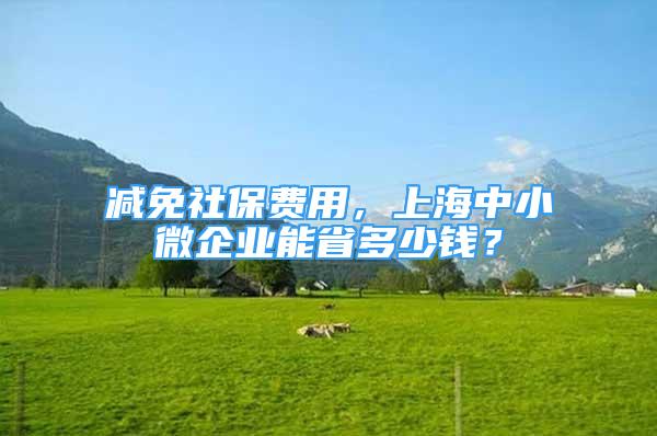 減免社保費用，上海中小微企業(yè)能省多少錢？