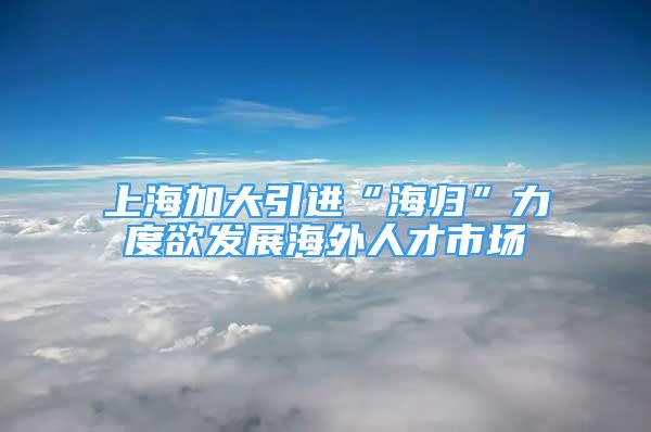 上海加大引進“海歸”力度欲發(fā)展海外人才市場