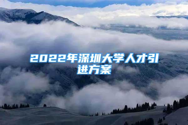 2022年深圳大學(xué)人才引進(jìn)方案