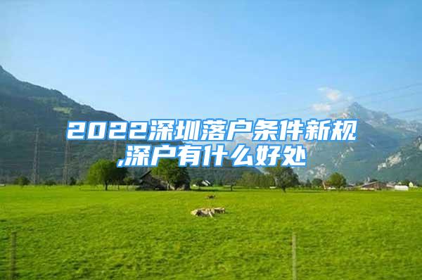 2022深圳落戶條件新規(guī),深戶有什么好處