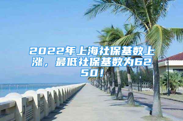 2022年上海社?；鶖?shù)上漲，最低社?；鶖?shù)為6250！