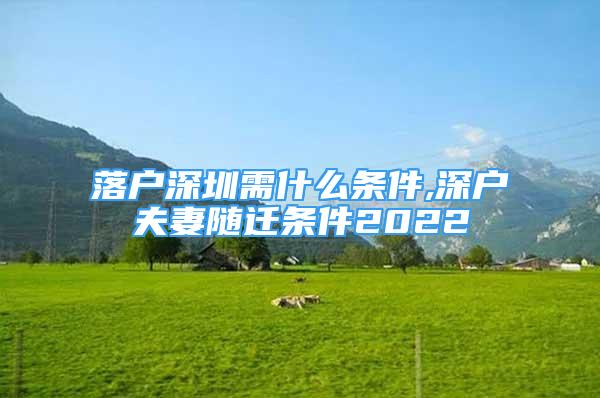 落戶深圳需什么條件,深戶夫妻隨遷條件2022