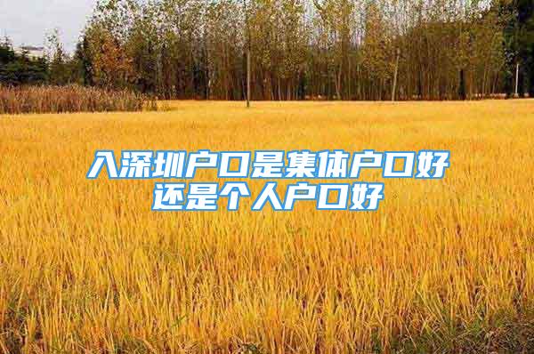 入深圳戶口是集體戶口好還是個(gè)人戶口好