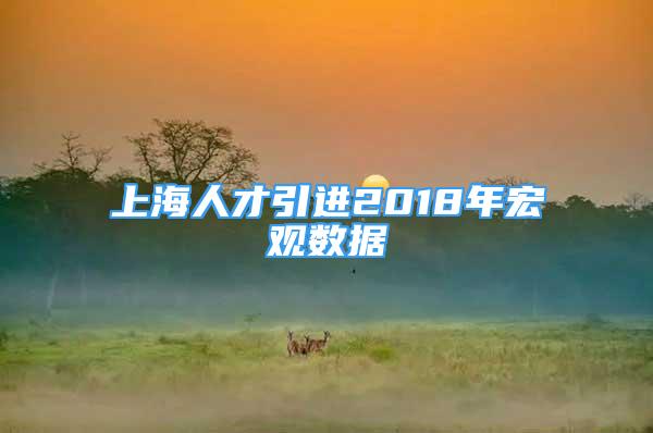 上海人才引進(jìn)2018年宏觀數(shù)據(jù)