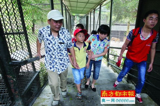 昨日，吳樹梁帶著妻子、兒子在幾名義工的陪同下到深圳野生動物園免費(fèi)游玩，這是他們一家第一次走進(jìn)動物園。南都記者 徐文閣 攝