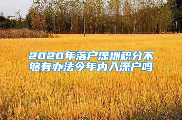 2020年落戶深圳積分不夠有辦法今年內(nèi)入深戶嗎