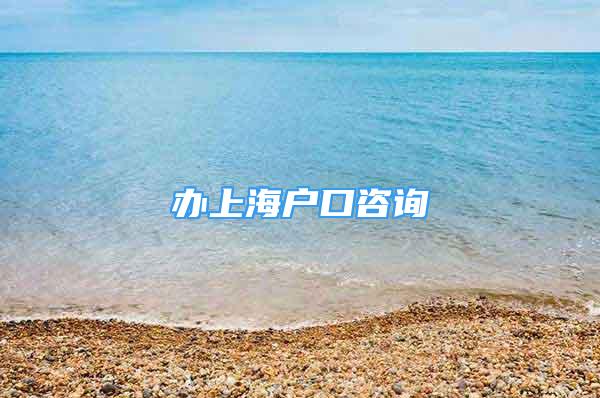 辦上海戶口咨詢