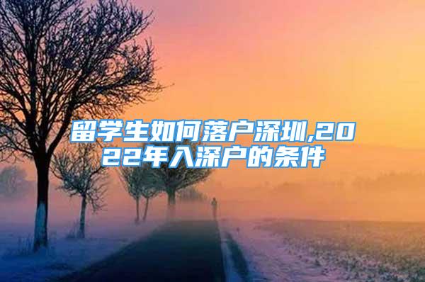 留學(xué)生如何落戶深圳,2022年入深戶的條件