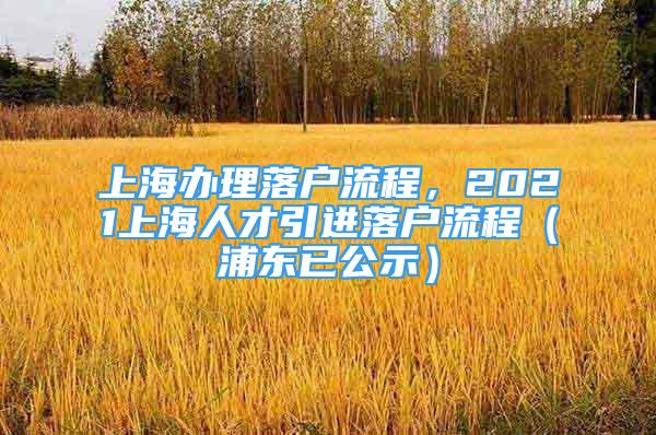 上海辦理落戶流程，2021上海人才引進(jìn)落戶流程（浦東已公示）