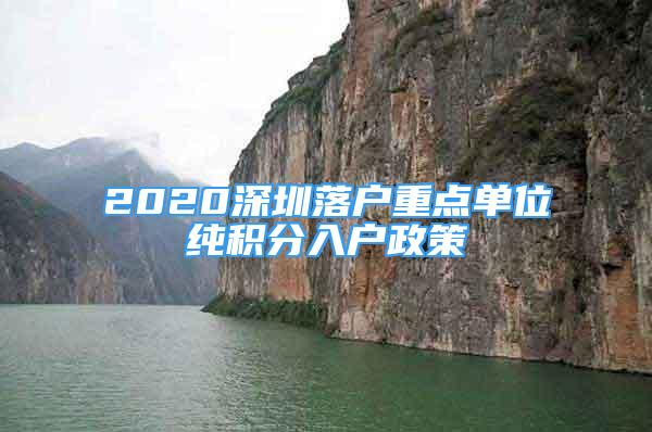 2020深圳落戶重點單位純積分入戶政策