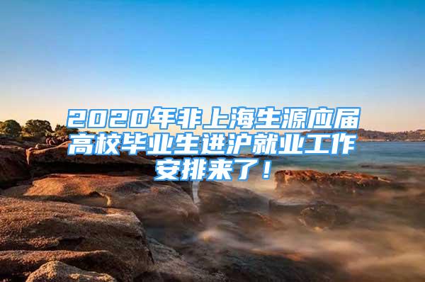 2020年非上海生源應屆高校畢業(yè)生進滬就業(yè)工作安排來了！