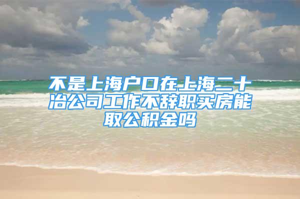 不是上海戶口在上海二十冶公司工作不辭職買房能取公積金嗎