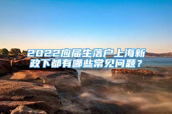 2022應(yīng)屆生落戶上海新政下都有哪些常見問題？