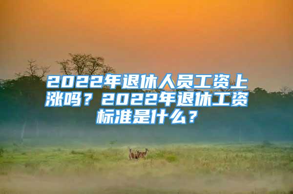 2022年退休人員工資上漲嗎？2022年退休工資標準是什么？