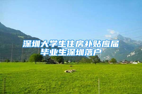 深圳大學(xué)生住房補(bǔ)貼應(yīng)屆畢業(yè)生深圳落戶