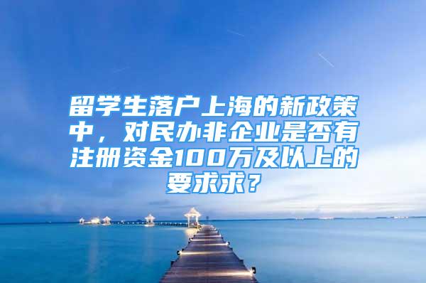 留學(xué)生落戶上海的新政策中，對(duì)民辦非企業(yè)是否有注冊(cè)資金100萬及以上的要求求？