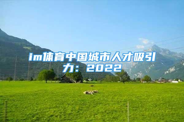 im體育中國城市人才吸引力：2022