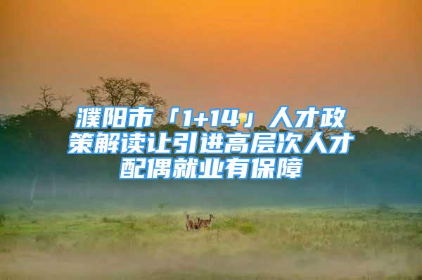 濮陽市「1+14」人才政策解讀讓引進高層次人才配偶就業(yè)有保障