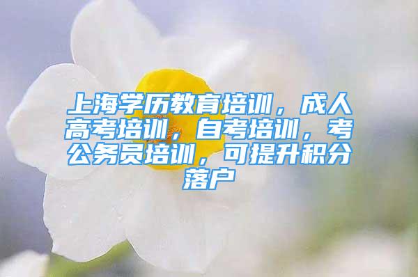 上海學(xué)歷教育培訓(xùn)，成人高考培訓(xùn)，自考培訓(xùn)，考公務(wù)員培訓(xùn)，可提升積分落戶