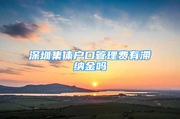 深圳集體戶口管理費有滯納金嗎